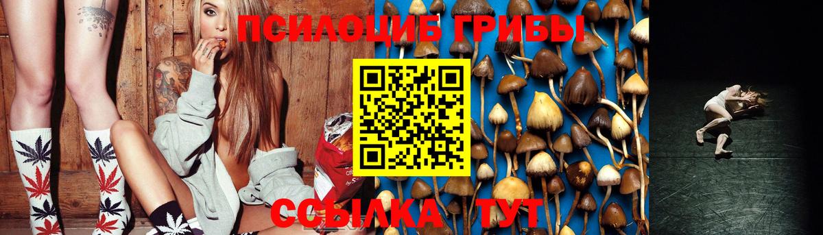 Саратов  Псилоцибиновые грибы Psilocybine cubensis  Вход с VPN 